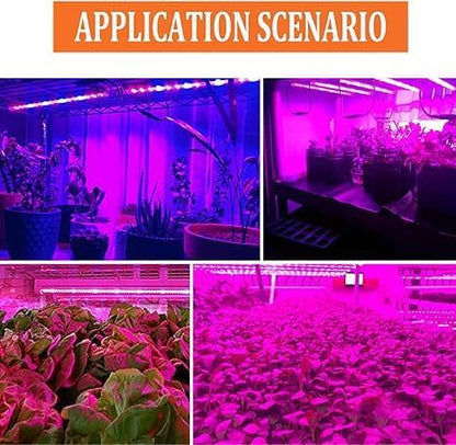 Miryam 12v plant growth LED light strips for all-spectrum growth, waterproof growth bulbs for indoor planting, hydroponics, greenhouses, and gardening. Acrylic, plug-free, purple color.