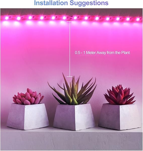Miryam 12v plant growth LED light strips for all-spectrum growth, waterproof growth bulbs for indoor planting, hydroponics, greenhouses, and gardening. Acrylic, plug-free, purple color.