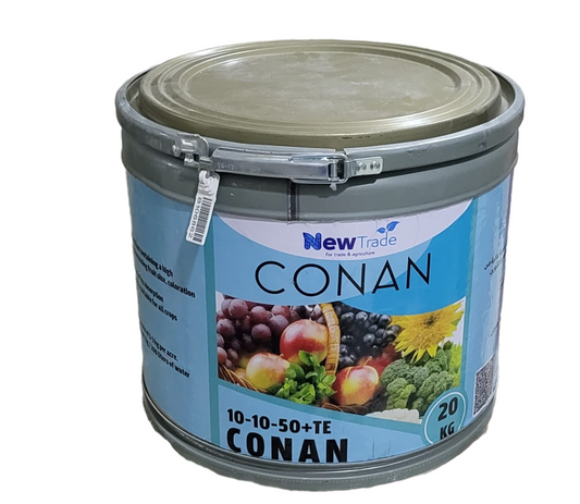 Conan 10-10-50