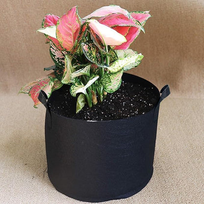 1 Gallon Grow Bags, Heavy Duty Thick Fabric Pots with Reinforced Handles, Fabric Pots for Planting Vegetables and Fruits, (10 Pack)