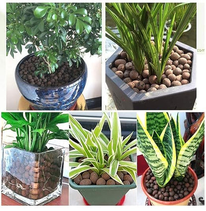 Clay Gravel, 4 kg, Organic Clay Balls for Plants, pH Neutral Lyca for Plants, Hydroponics and Fish Farming Supplies, Ideal for Indoor and Outdoor Plants, 8:18 Ml.