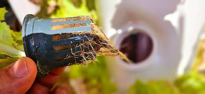 Tower s:36 Plants, Fresh Harvest without Soil, Perfect Vertical Plant Quick and Easy Harvesting, Plant Tower with Self Watering Pump Suitable for Indoor and Outdoor Use