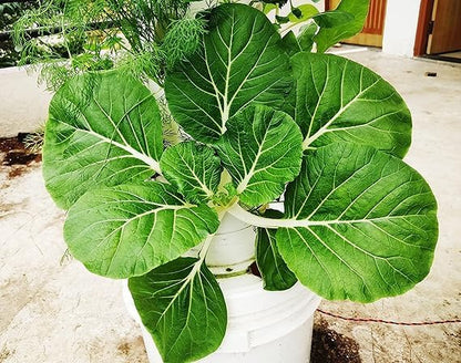 Tower Garden Planting Vertical, Mixed Materials,20 Hole Planting Tower