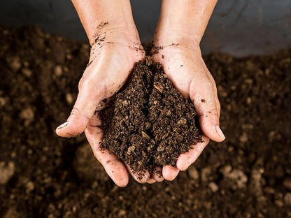 Soil ready for cultivation, petmos, natural, imported high absorbency,excellent soil mix, imported betmos ready to use (kilograms, 2)