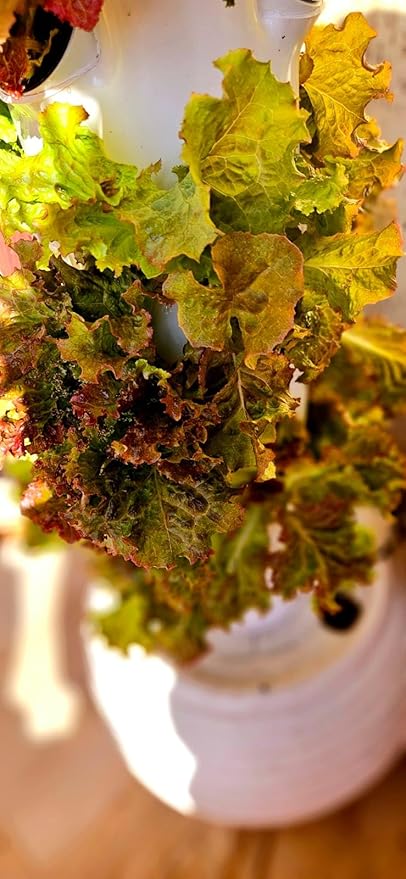 Tower s:36 Plants, without Soil,, Plant Tower with Self Watering Pump Suitable for Indoor and Outdoor Use