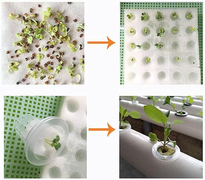 RANZIX Hydroponic Site Grow Kit, 36 Sites, 4 Tubes Earthless Plant Growing Systems, and Flow Deep Water Culture Gardens with Pump for the Educational Hydroponics System (C-36 Holes)