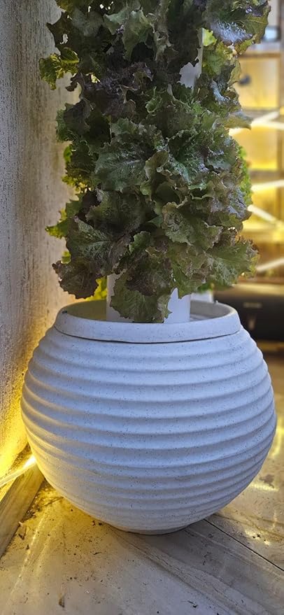 Tower s:36 Plants, Fresh Harvest without Soil, Perfect Vertical Plant Quick and Easy Harvesting, Plant Tower with Self Watering Pump Suitable for Indoor and Outdoor Use