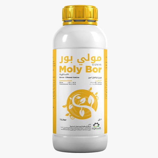 Moly Bor