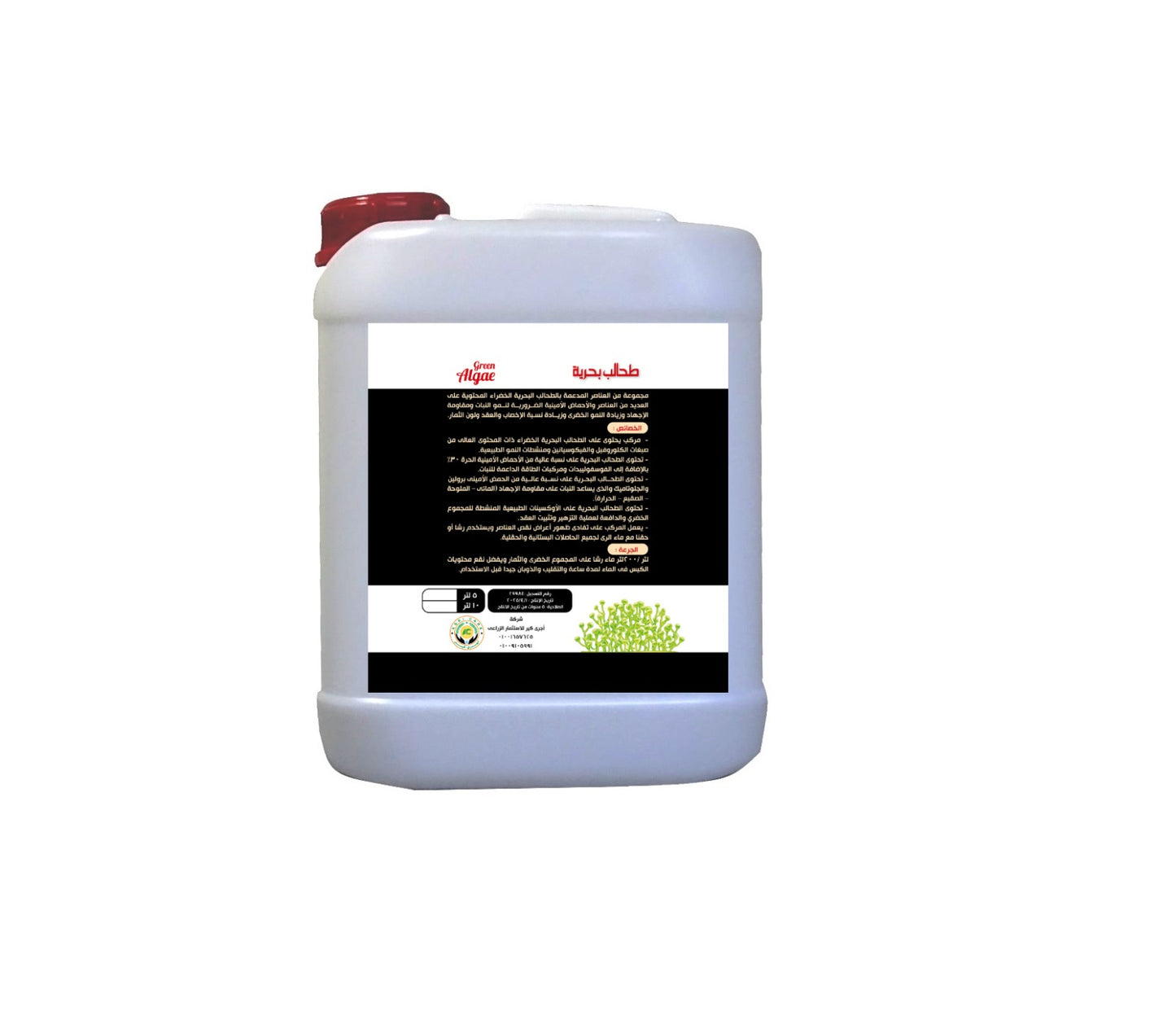Marine algae