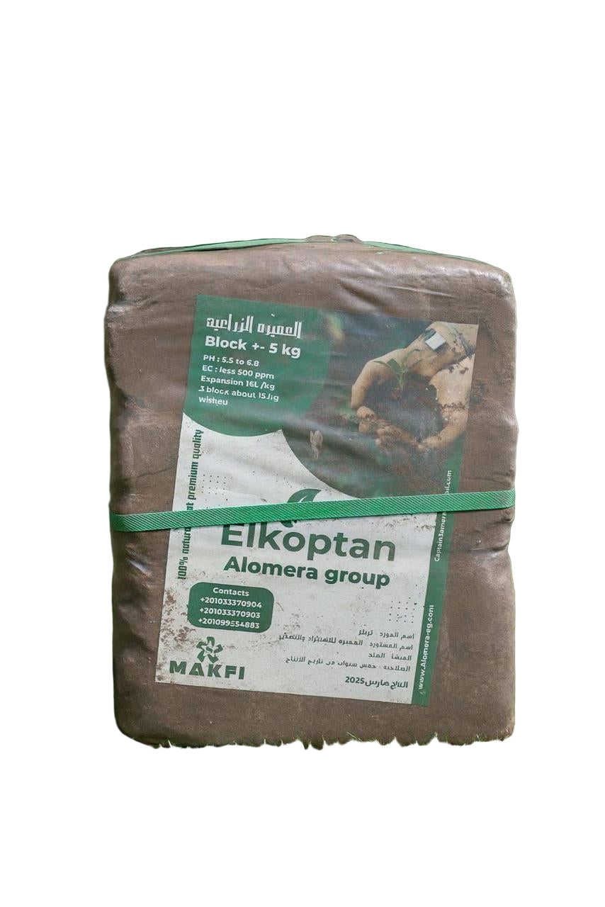 Captain Cocobet Trailer Tr999