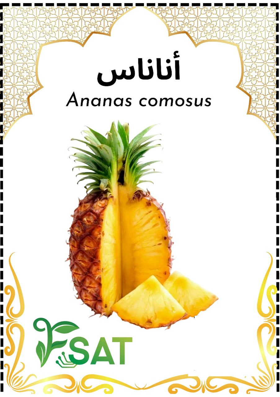 Ananas comosus