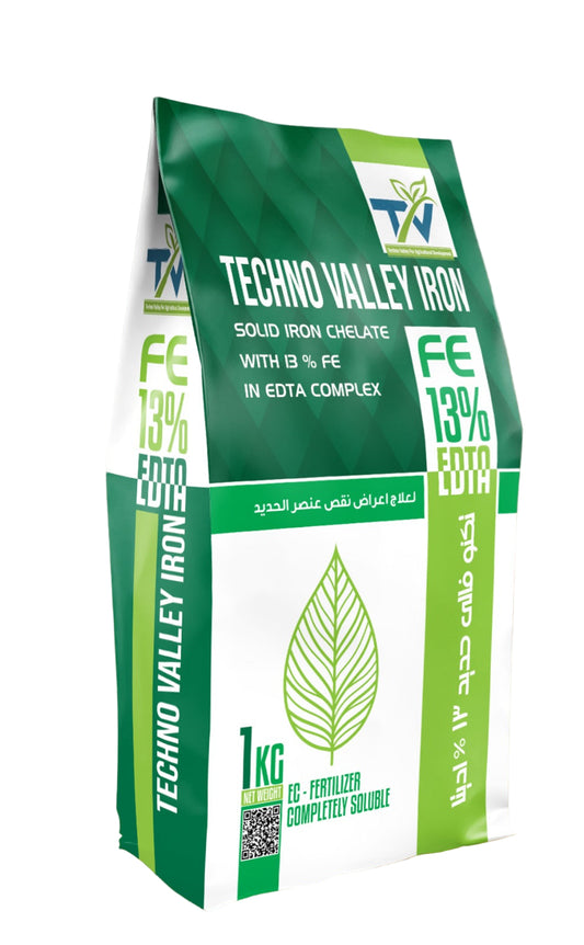 Techno Valley Iron Edita