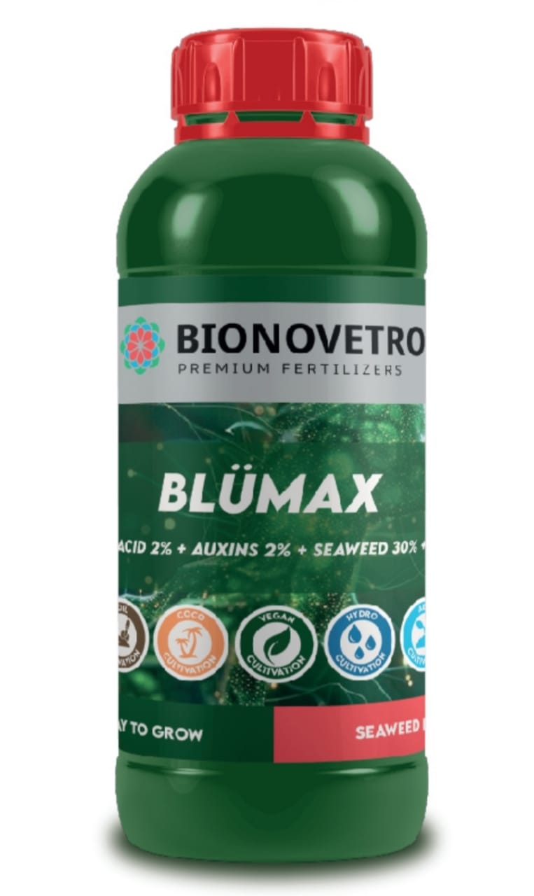 BlümaX