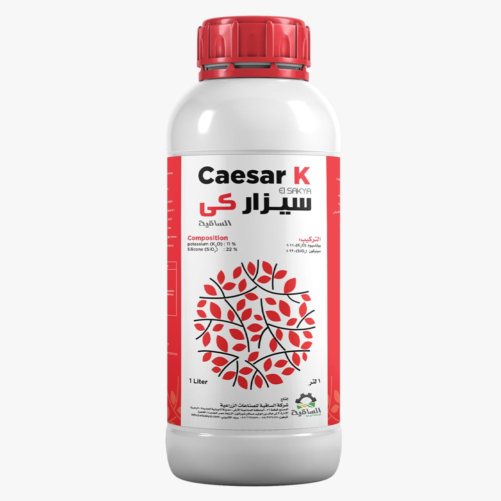 Caesar K
