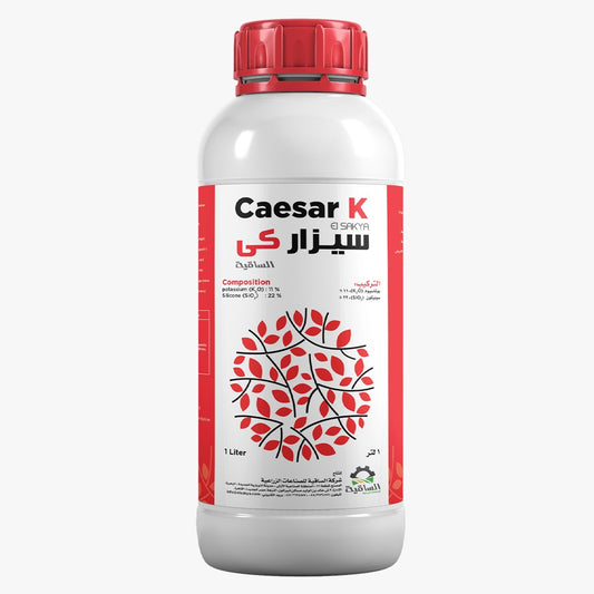 Caesar K
