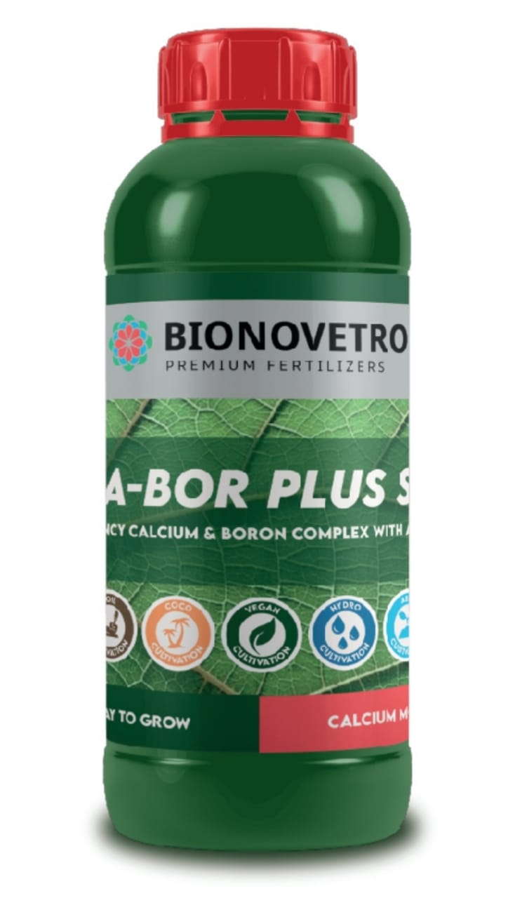 كال بور بلس